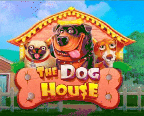 Play The Dog House in Magic Red Casino